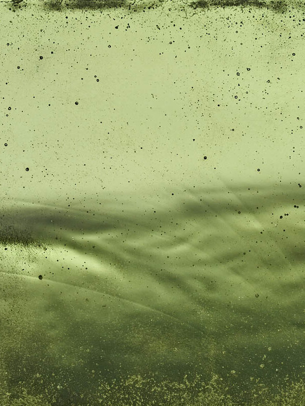 APPLE_GREEN-.jpg