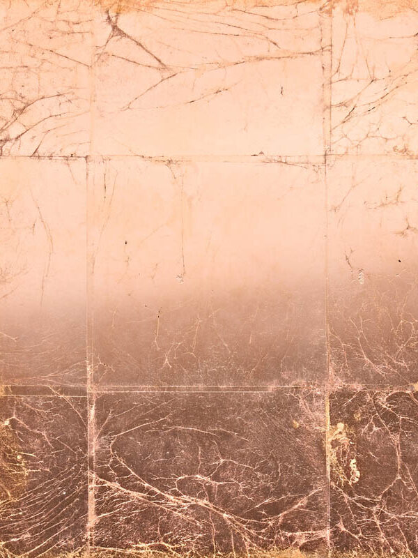 COPPER_LEAF_SHADED_6365.jpg