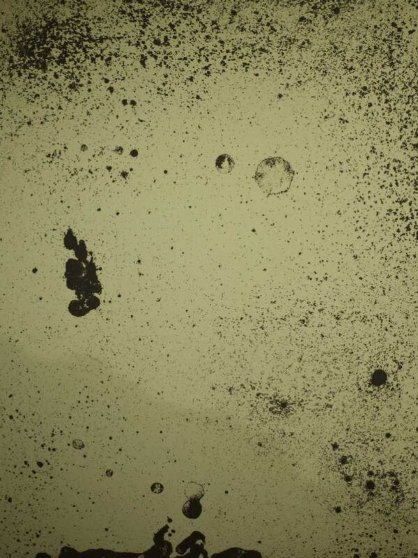 antique_moonglow_000126.jpg