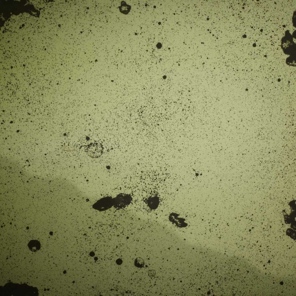 Silver Green Antiqued